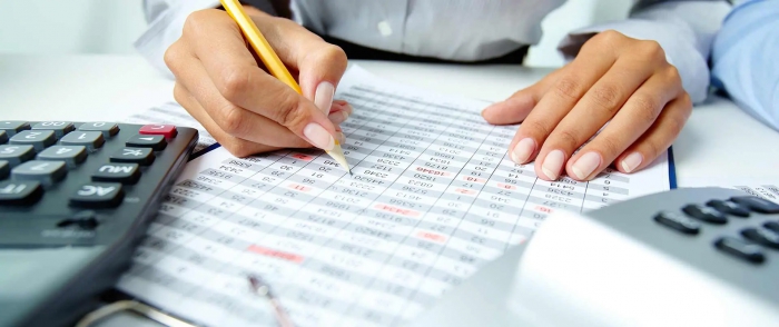 Payroll processing service dedicated to Accountants and Labor Consultants